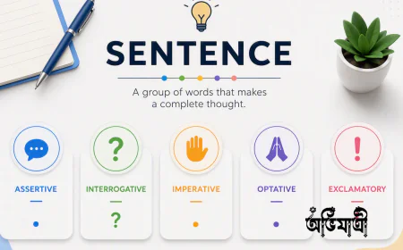 Sentence কাকে বলে ও কত প্রকার? সংজ্ঞা, গঠন ও উদাহরণসহ পূর্ণাঙ্গ পাঠ