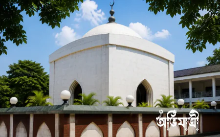 শাহ সুলতান মাহিসওয়ার (রহ.): মহাস্থানের ইতিহাস, জনশ্রুতি ও জীবন্ত সুফি ঐতিহ্য