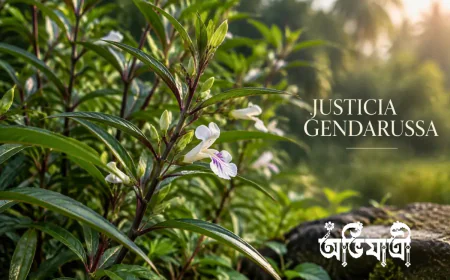 জগৎমদন গাছ: লোকজ ব্যবহার ও বৈজ্ঞানিক প্রমাণের সীমা