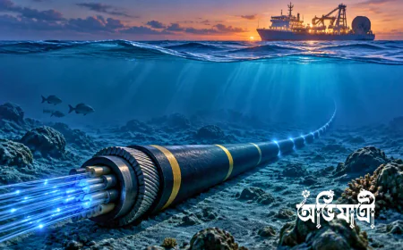 সমুদ্রের নিচে ইন্টারনেটের মহাসড়ক: সাবমেরিন ক্যাবল কীভাবে বিশ্ব ও বাংলাদেশকে যুক্ত রাখে